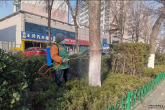 春季绿化防治“草履蚧”，潍坊这里打响攻坚战！
